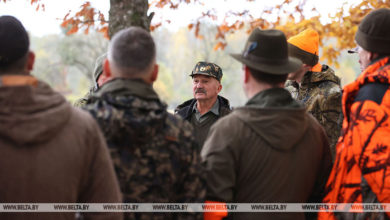 Photo of Hunting season in Belovezhskaya Pushcha | Belarus News | Belarusian news | Belarus today | news in Belarus | Minsk news | BELTA