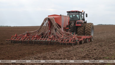 Photo of Sowing of winter crops in Belarus nearly 90% complete