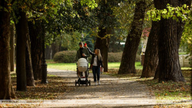 Photo of Scope of early use of family capital program in Belarus expanded