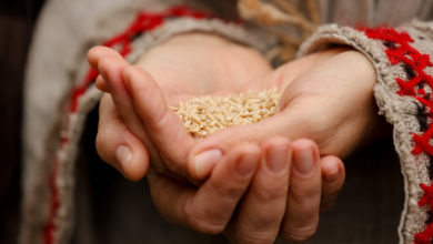 Photo of Bagach harvest festival in Vyazynka | In Pictures | Belarus News | Belarusian news | Belarus today | news in Belarus | Minsk news | BELTA