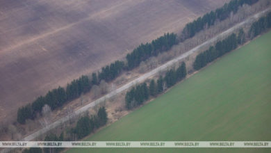 Photo of Sowing of winter crops in Belarus 67.8% complete