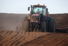 Photo of Winter wheat harvesting in Grodno District | In Pictures | Belarus News | Belarusian news | Belarus today | news in Belarus | Minsk news | BELTA