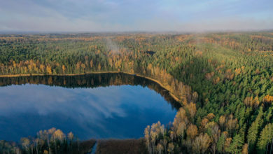 Photo of Autumn landscapes in the Blue Lakes reserve | In Pictures | Belarus News | Belarusian news | Belarus today | news in Belarus | Minsk news | BELTA