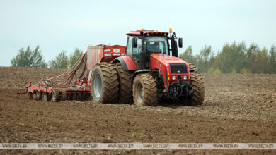 Photo of У Беларусі засталося засеяць 7,3 працэнта плошчаў азімых