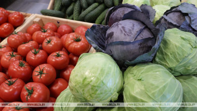 Photo of Экспорт белорусского продовольствия в этом году может превысить $6 млрд – Богданов