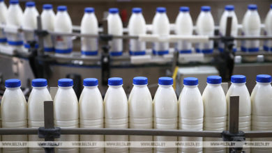 Photo of Milk production up over 10% in Belarus over five years