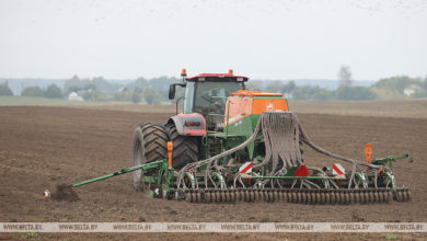 Photo of Winter sowing in Belarus 82% complete