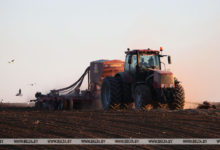 Photo of Belarus completes 2021 winter sowing