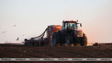 Photo of Belarus completes 2021 winter sowing