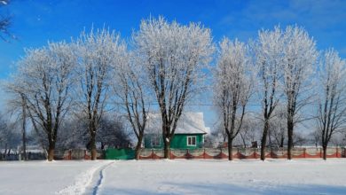 Photo of Морозы и гололедица: похолодание будет продолжаться неделю