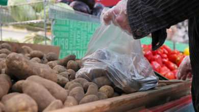 Photo of В Беларуси овощи и яблоки отнесли к социальным продуктам