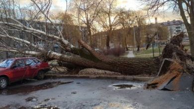 Photo of В Беларуси ликвидируют последствия сильного ветра