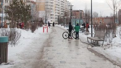 Photo of Почти весна: в Беларуси ожидается теплая и сырая погода