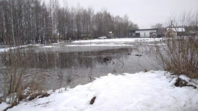 Photo of В Беларуси уровень речных вод привысил опасные отметки