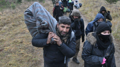 Photo of Мигранты продолжают попытки попасть в Европу с территории Беларуси