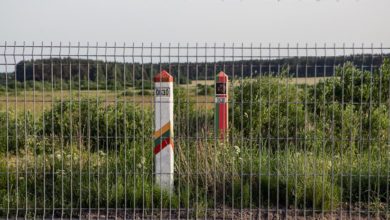 Photo of «Режут и ломают». В Латвии заявили, что белорусские пограничники повреждают пограничный забор