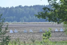 Photo of «Линию Хренина» в Гомельской области оборудовали для демонстрации сооружения