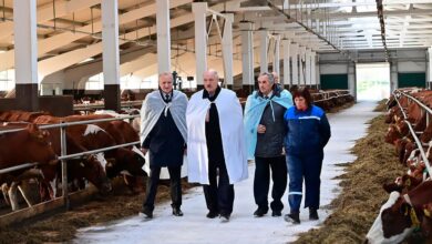 Photo of В Беларуси вернули крепостное право: Лукашенко запретил занятым в сельском хозяйстве увольняться без специального разрешения