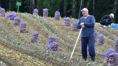 Photo of При Лукашенко производство «национального продукта» сократилось почти вдвое