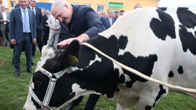 Photo of Экономика дефицита: почему Лукашенко зациклен на продуктах питания