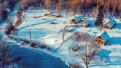 Photo of Большинство белорусских агроусадеб не прошли перерегистрацию