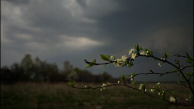 Photo of Синоптики спрогнозировали белорусам непростую погоду на следующей неделе: что стоит взять во внимание