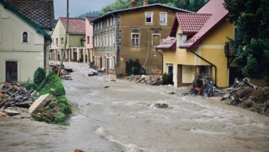 Photo of Белорусы рассказали о том, как в Польше борются с наводнением