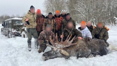 Photo of «Медведя убиди выстрелом в голову». Браконьеры охотились с вертолета ДОСААФ