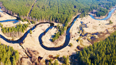 Photo of Воду придется экономить. Из-за потепления в Беларуси произошло изменение границ агроклиматических областей