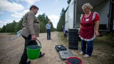 Photo of Минтруда обещает белорусам бонусы за переезд в деревню